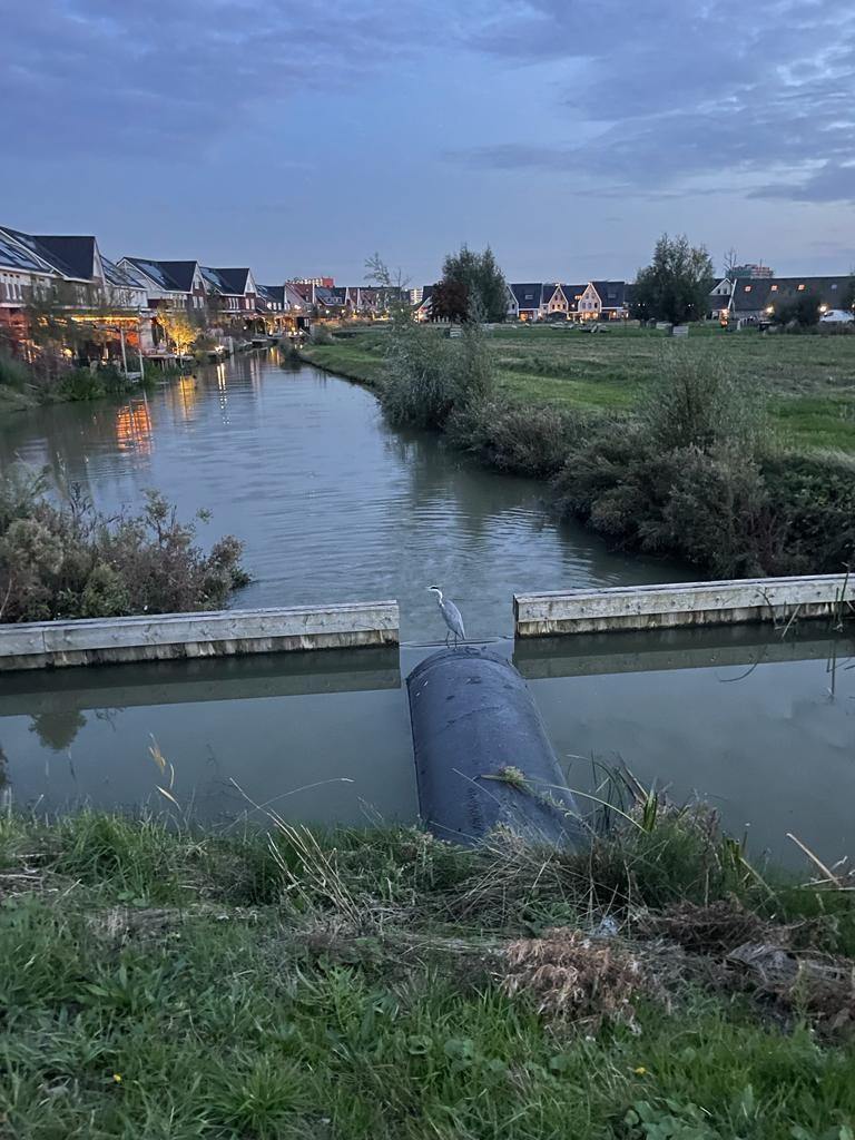 Foto van huizen aan het water