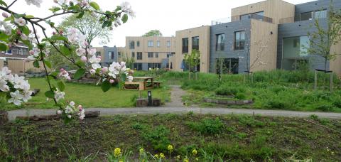 Beeld: Groene Mient