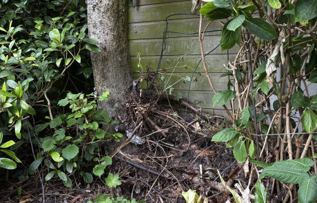 Verhakselen in een hoekje van de tuin