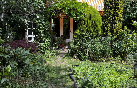 Waterbesparende tuin