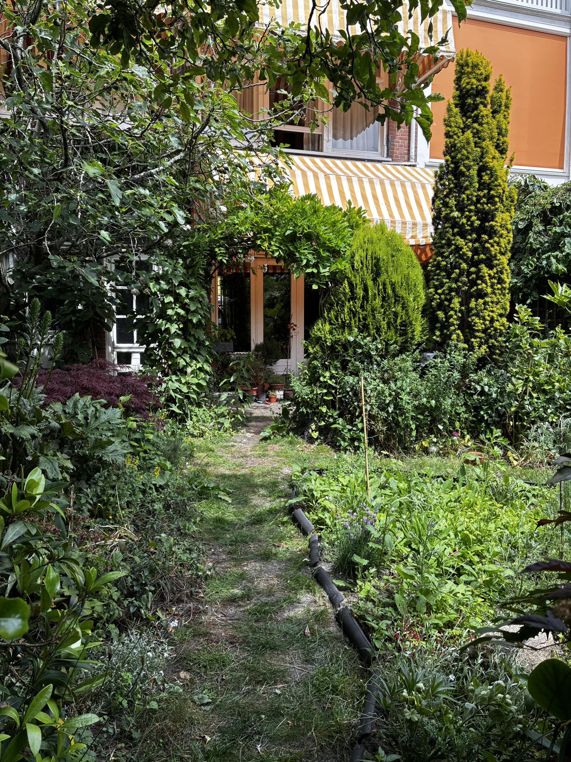 Waterbesparende tuin Waterbesparende tuin